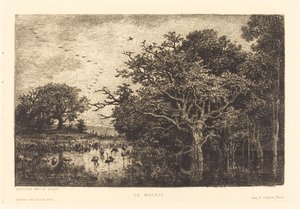 Marsh