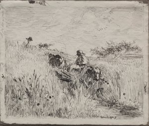 Path Through the Grain Field