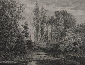 Stags at the Water