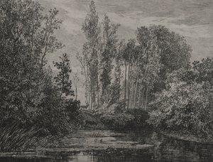 Stags at the waters edge, 1850 by Charles Francois Daubigny