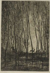 Stags in the Woods by Charles Francois Daubigny