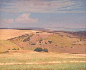 Wide View. Mols