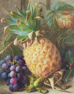 Still Life of a Pineapple and Grapes