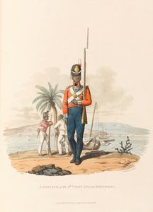 A Private of the 5th West India Regiment by Charles Hamilton (after) Smith