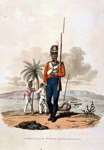 A Private of the 5th West India Regiment, from 