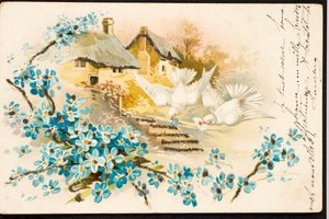 Old Postcard/Dove