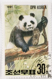 Stamp, North Korea, Giant Panda