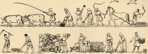 Agriculture in the time of Edward III From the Luttrell Psalter, 1931