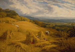 The Harvest