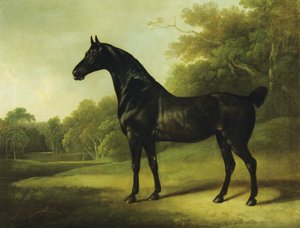 A Bay Horse in a Wooded Landscape