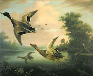 Duck Shooting by Charles Henry Schwanfelder