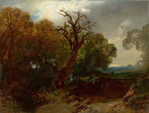 Rest at the Edge of the Forest