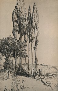 Cypress Trees Near Siena, 1903