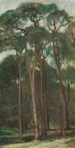 Study of Trees by Charles Holroyd