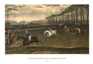 Vale of Aylesbury Steeple Chase, Plate 4 by Charles Hunt