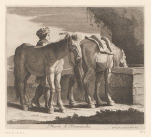 Drinking Horses