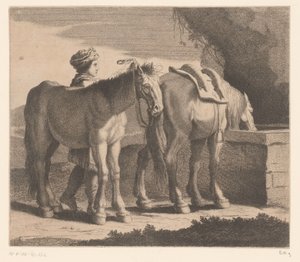 Drinking Horses