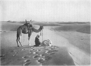 The Sunset Prayer in the Desert
