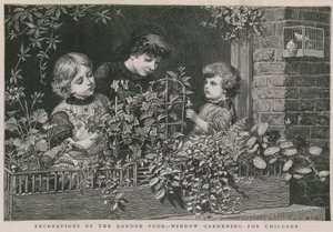 Recreations of the London poor: Window gardening for children