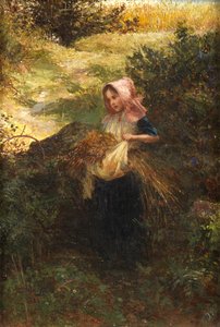 Fresh from the Meadow