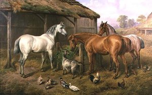 Farmyard Friends