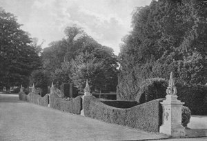 Divisions of Yew