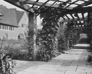 Looking North Up the Pergola