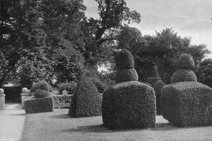 On the South Lawn