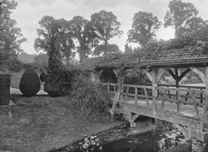 The Bridge
