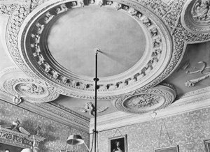 The Ceiling of the Billiard-Room