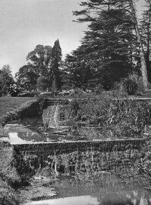 The Garden Waterfalls