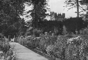 The Kitchen Garden