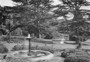 The Lawn and its Adornments
