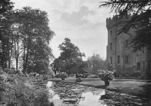 The Moat
