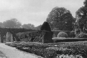 The Old Garden