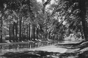 The T Pond