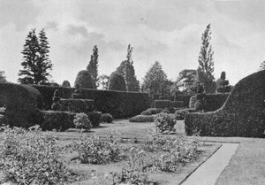 The Yew Garden