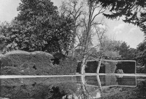 The Yew Walk