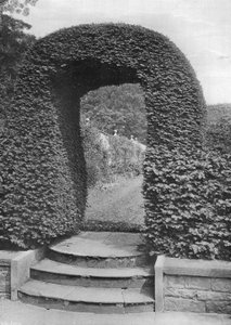 To the Kitchen Garden