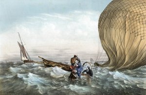 The Habs Ball by Charles Leduc