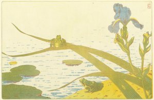 Frogs