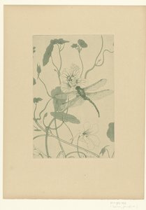 Dragonfly on Nasturtium Flower (Fleurs) by Charles Louis Houdard