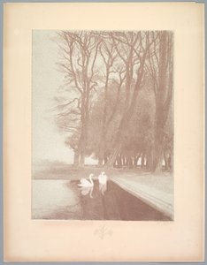 Suite of Landscapes: Landscape, Plate 6, Remarque, Lilies