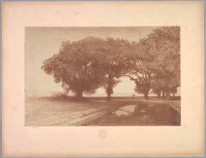 Suite of Landscapes: Landscape, Plate 8, Remarque, Pansies by Charles Marie Dulac
