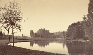 Bois de Boulogne, 1858 by Charles Marville