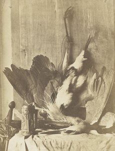 Game Still Life by Charles Marville