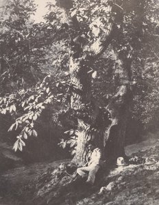 Man Lying at the Foot of a Chestnut Tree, 1850-53 by Charles Marville