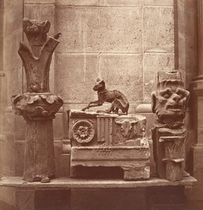 The Mummified Cat found in the excavations of Saint-Germain-en-Laye