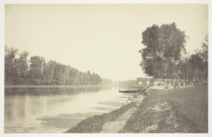 Untitled [Trees near water in the Bois de Boulogne, a park in Paris] by Charles Marville