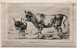 Cow and Ass by Charles Meryon